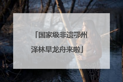 国家级非遗鄂州泽林旱龙舟来啦